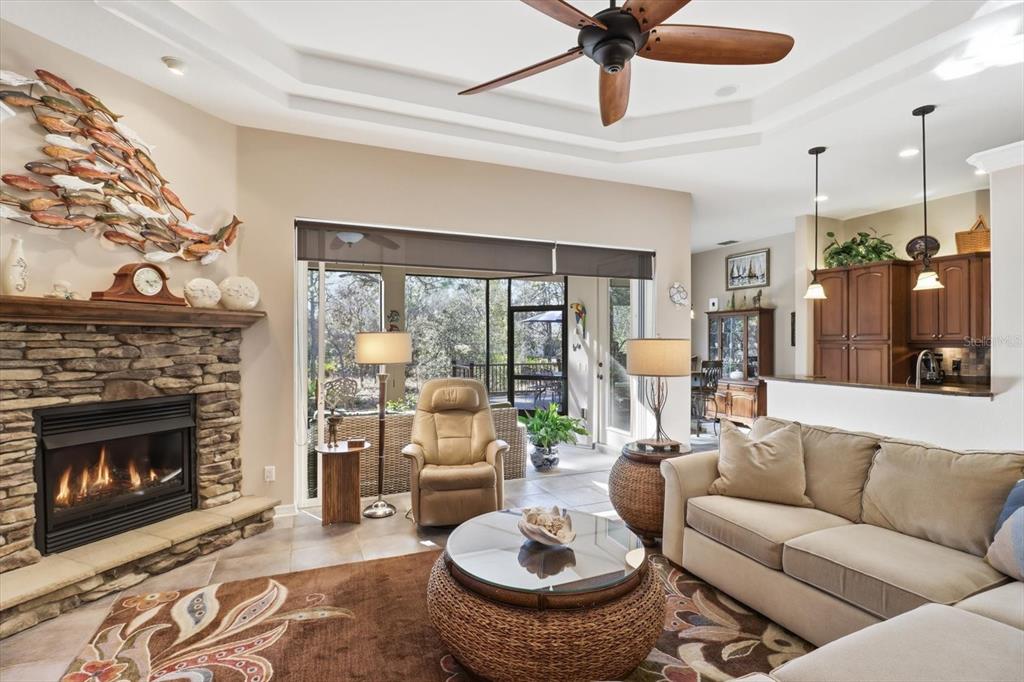 6 Carnation Court Homosassa, FL 34446 - Photo 8 of 48 a living room with furniture a fireplace and a chandelier