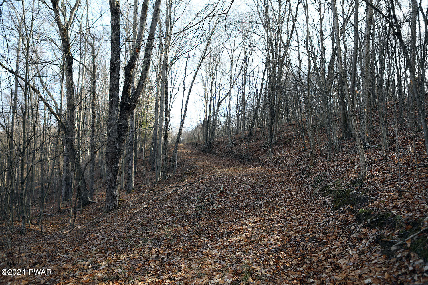 1106 Pine Mill Road Equinunk, PA 18417 - Photo 13 of 21 Easy access via trails