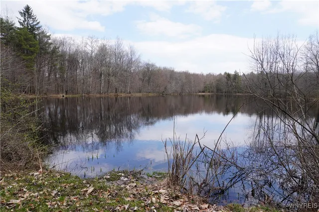 $22,000 | -vl Blooming Hill Drive, Freedom, NY 14065