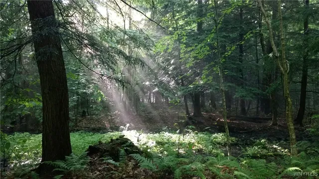 $22,000 | -vl Blooming Hill Drive, Freedom, NY 14065