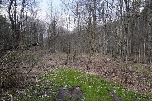 $22,000 | -vl Blooming Hill Drive, Freedom, NY 14065