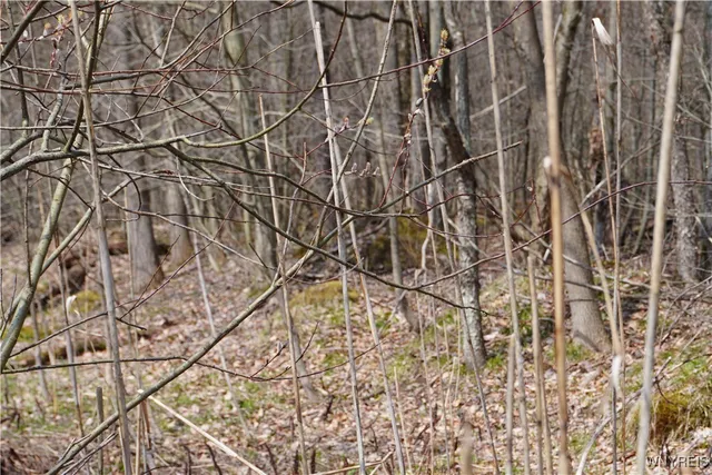 $22,000 | -vl Blooming Hill Drive, Freedom, NY 14065