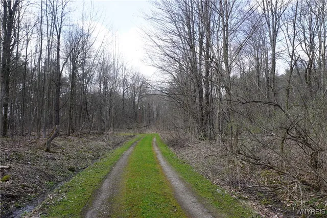 $22,000 | -vl Blooming Hill Drive, Freedom, NY 14065