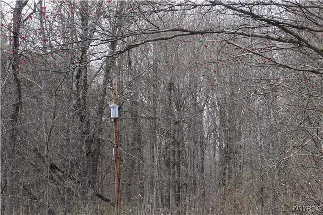 $22,000 | -vl Blooming Hill Drive, Freedom, NY 14065