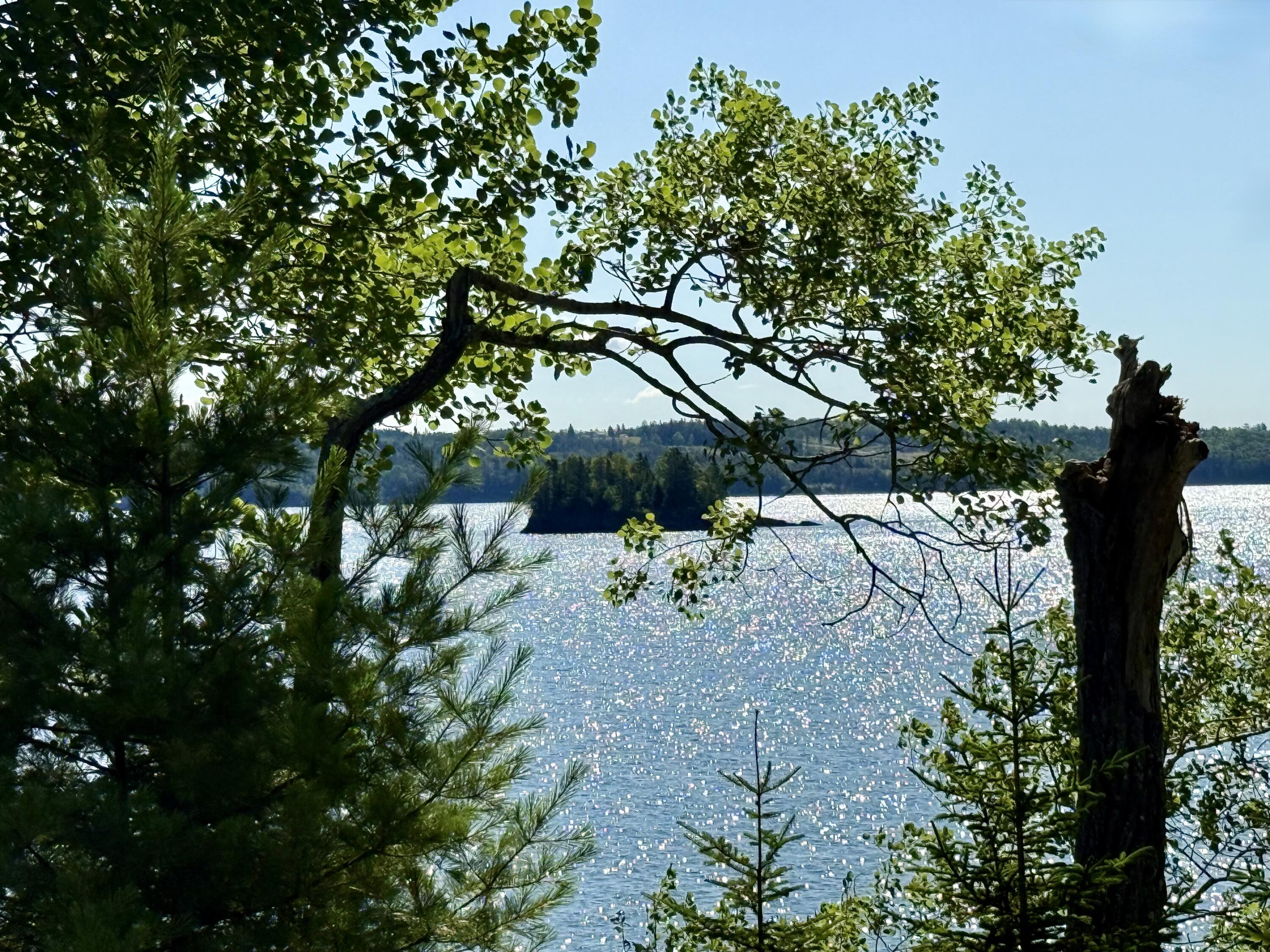 27 U.S. Rte 1 Robbinston, ME 04671 - Photo 64 of 68 IMG_7447