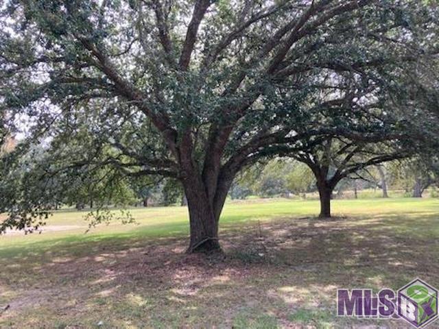 37211 Swamp Road Prairieville, LA 70769 - Photo 1 of 8 Gallery Image 1