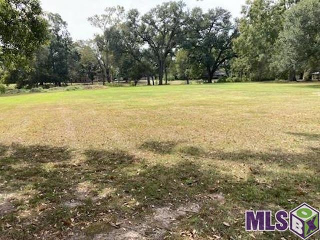 37211 Swamp Road Prairieville, LA 70769 - Photo 3 of 8 Gallery Image 3