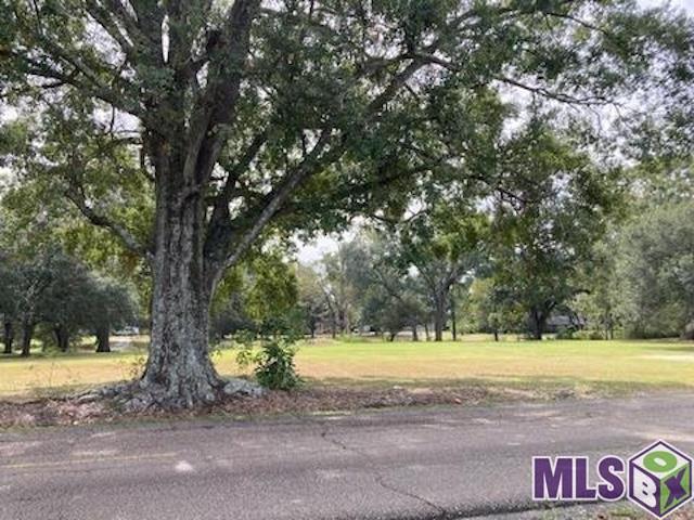 37211 Swamp Road Prairieville, LA 70769 - Photo 4 of 8 Gallery Image 4