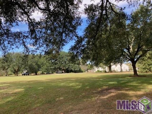 37211 Swamp Road Prairieville, LA 70769 - Photo 6 of 8 Gallery Image 6