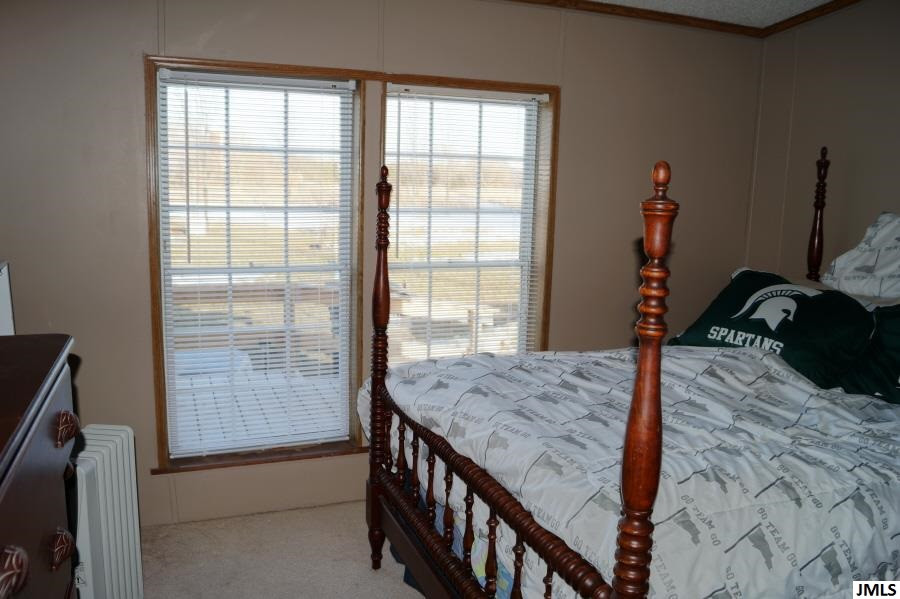 11455 Broughwell Road Rives Junction, MI 49277 - Photo 17 of 29 Photo 17