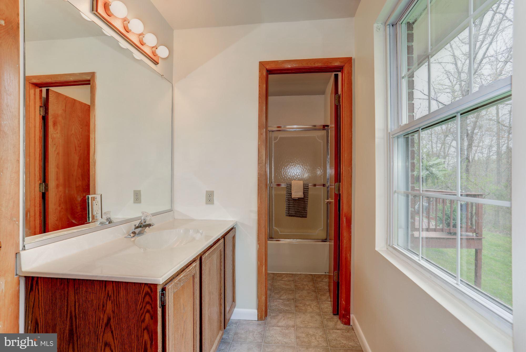 278 Lizzie Mills Road Castleton, VA 22716 - Photo 12 of 30 Bath