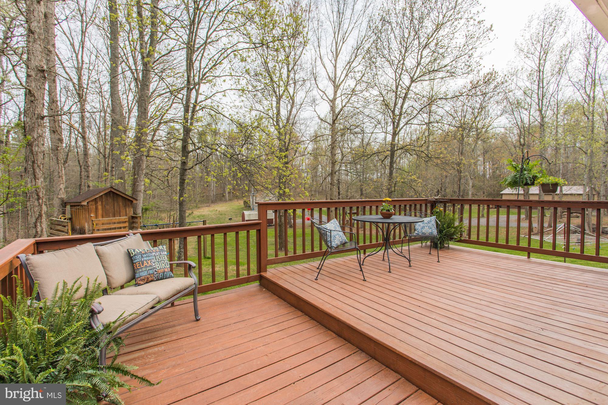 278 Lizzie Mills Road Castleton, VA 22716 - Photo 20 of 30 Exterior (Rear)