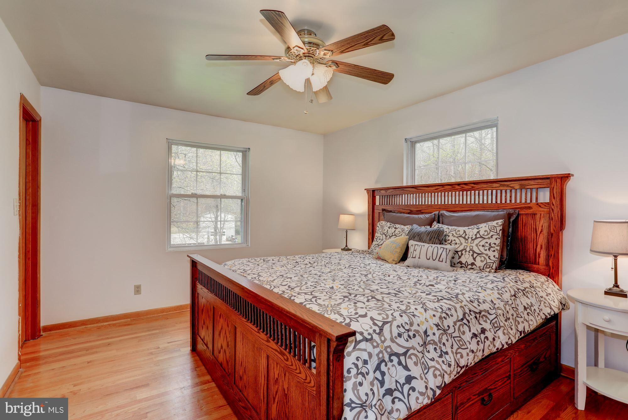 278 Lizzie Mills Road Castleton, VA 22716 - Photo 10 of 30 Bedroom (Master)