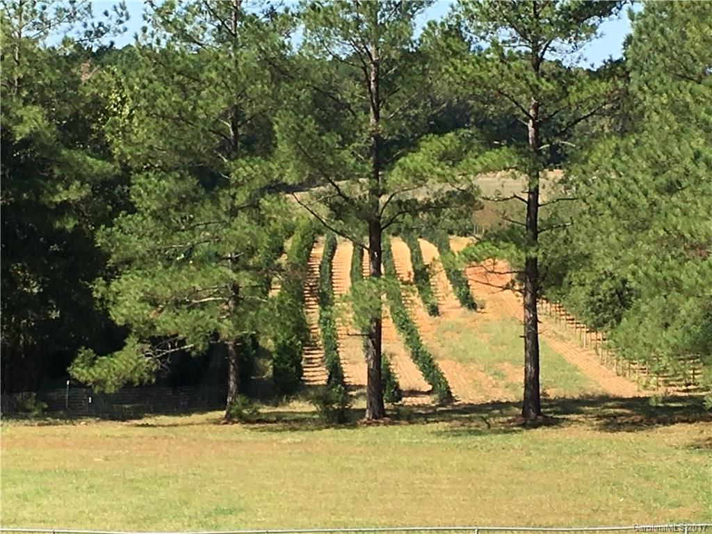 9850 Reed Mine Road Midland, NC 28107 - Photo 9 of 24 Gallery Image 9
