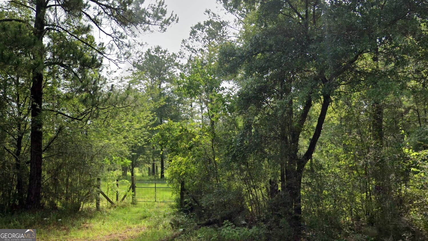 0 Jack Williams Road, Unit LOT 35 Wilmer, AL 36587 - Photo 5 of 8
