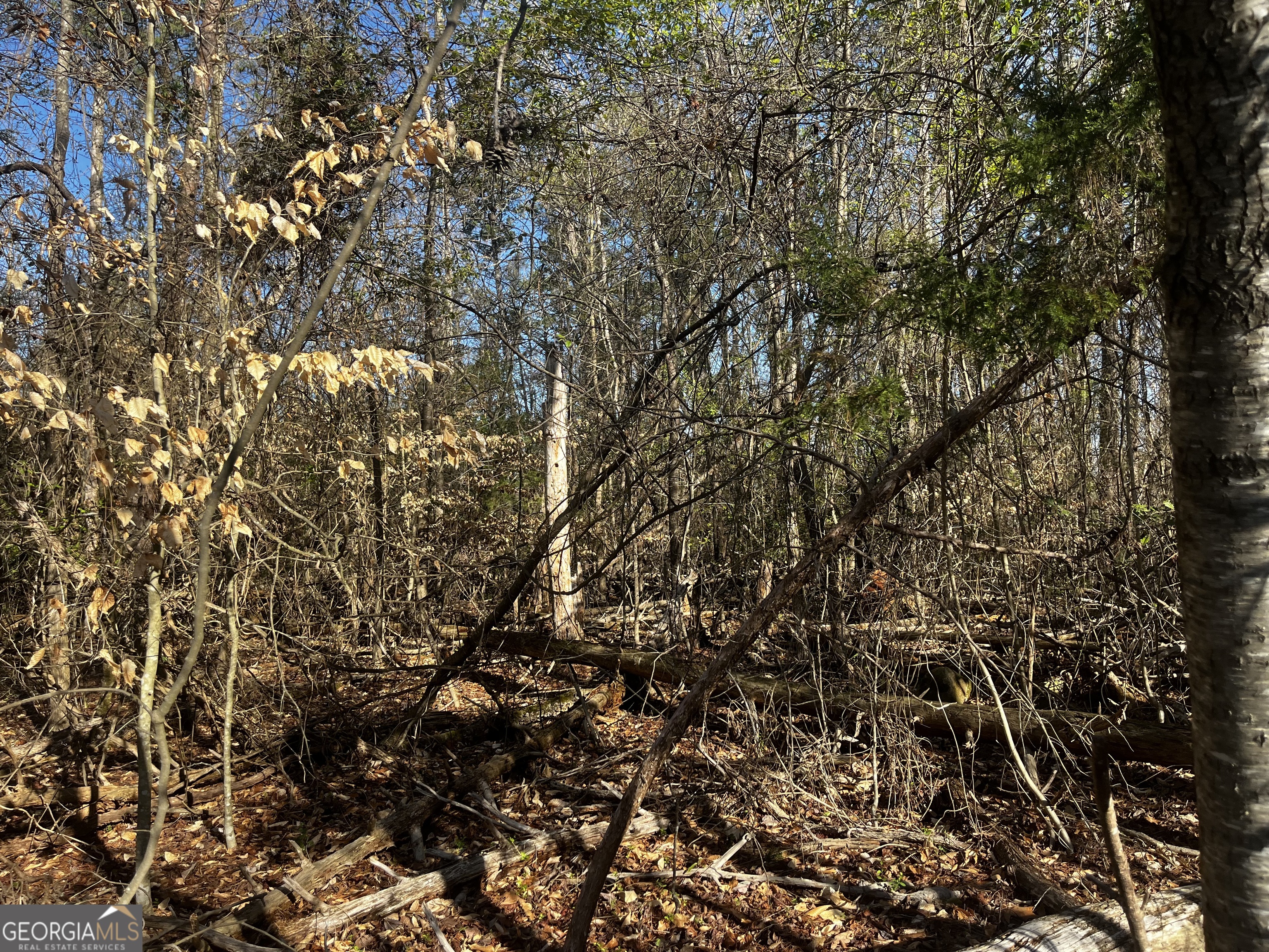 0 Alpine Way Lavonia, GA 30553 - Photo 1 of 3