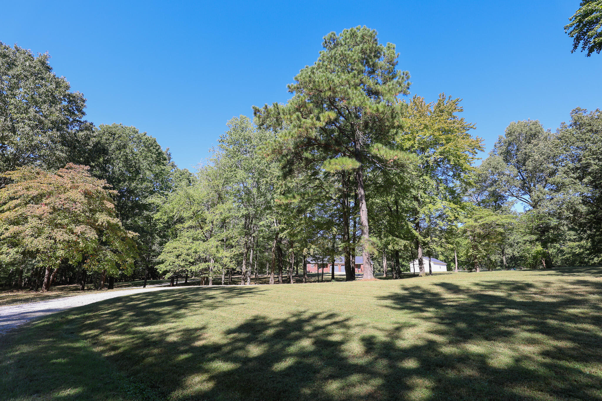 875 Mayfield Metropolis Road Paducah, KY 42001 - Photo 55 of 59 13+/- Acres