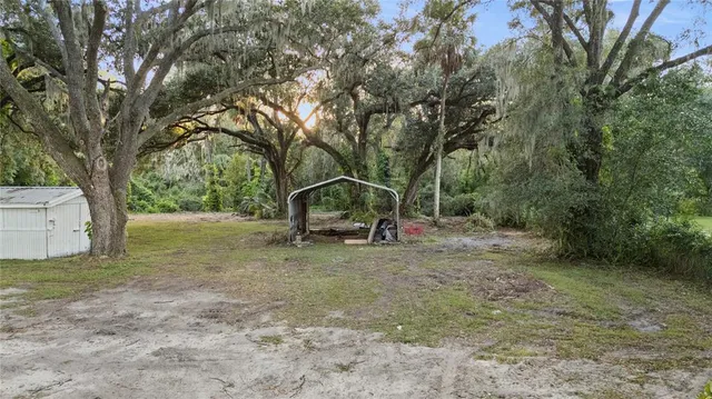 a view of a field with trees in the background