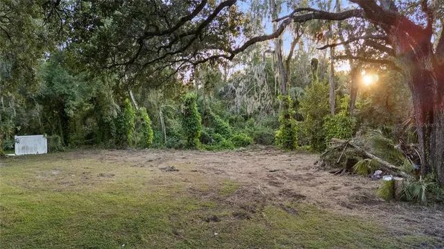 a view of a yard with a tree
