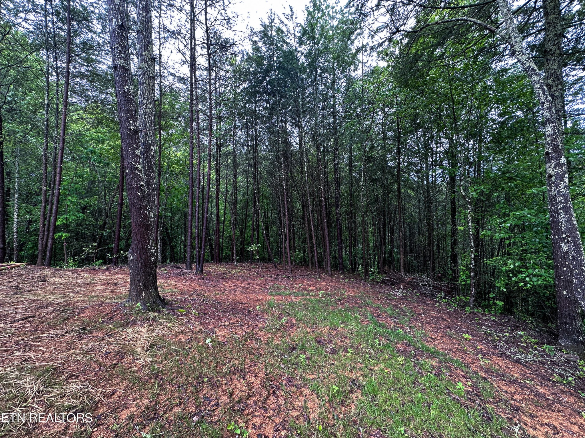 3319 Montevallo Road Sevierville, TN 37876 - Photo 13 of 35