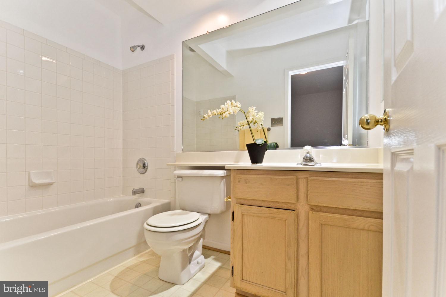 9923 Raintree Way Clinton, MD 20735 - Photo 20 of 30 a bathroom with a bathtub sink mirror and toilet