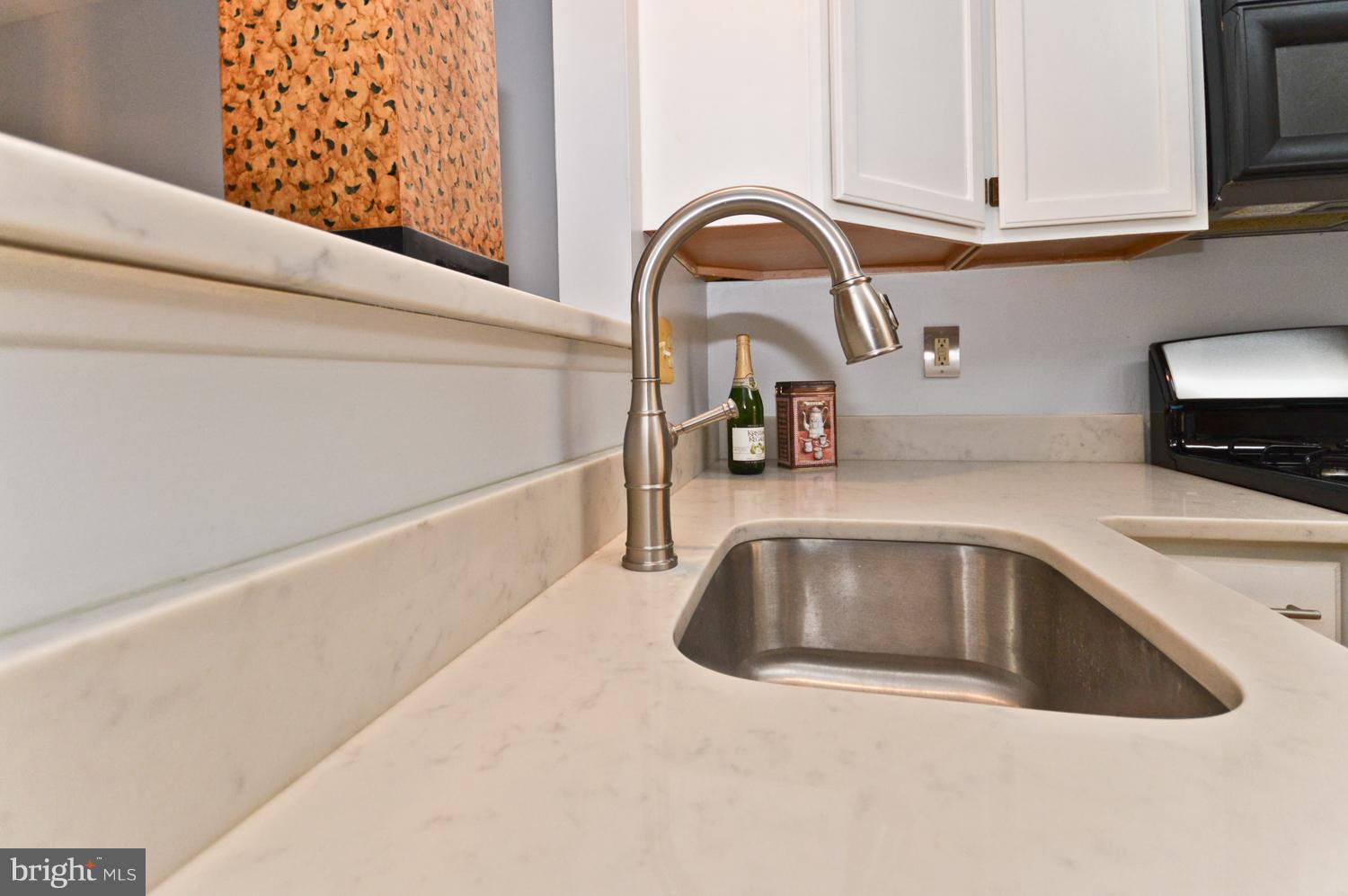 9923 Raintree Way Clinton, MD 20735 - Photo 8 of 30 a close view of sink and tap