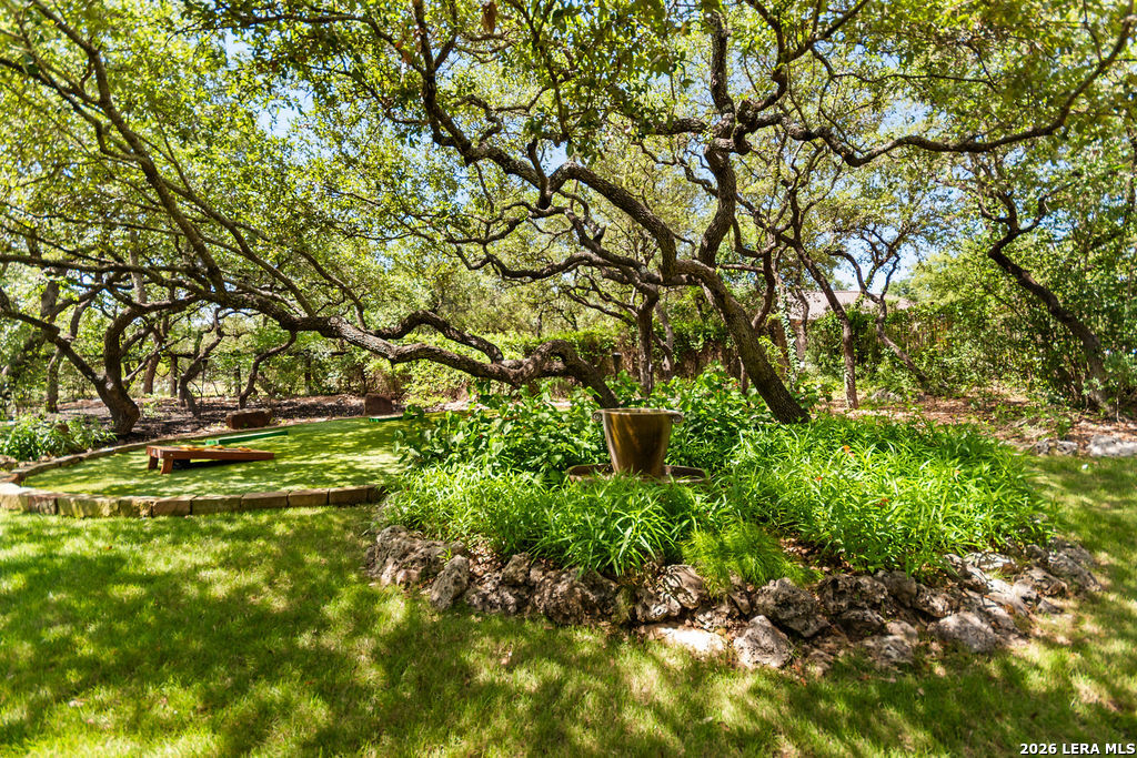 25 Stone Terrace Fair Oaks Ranch, TX 78015 - Photo 68 of 95