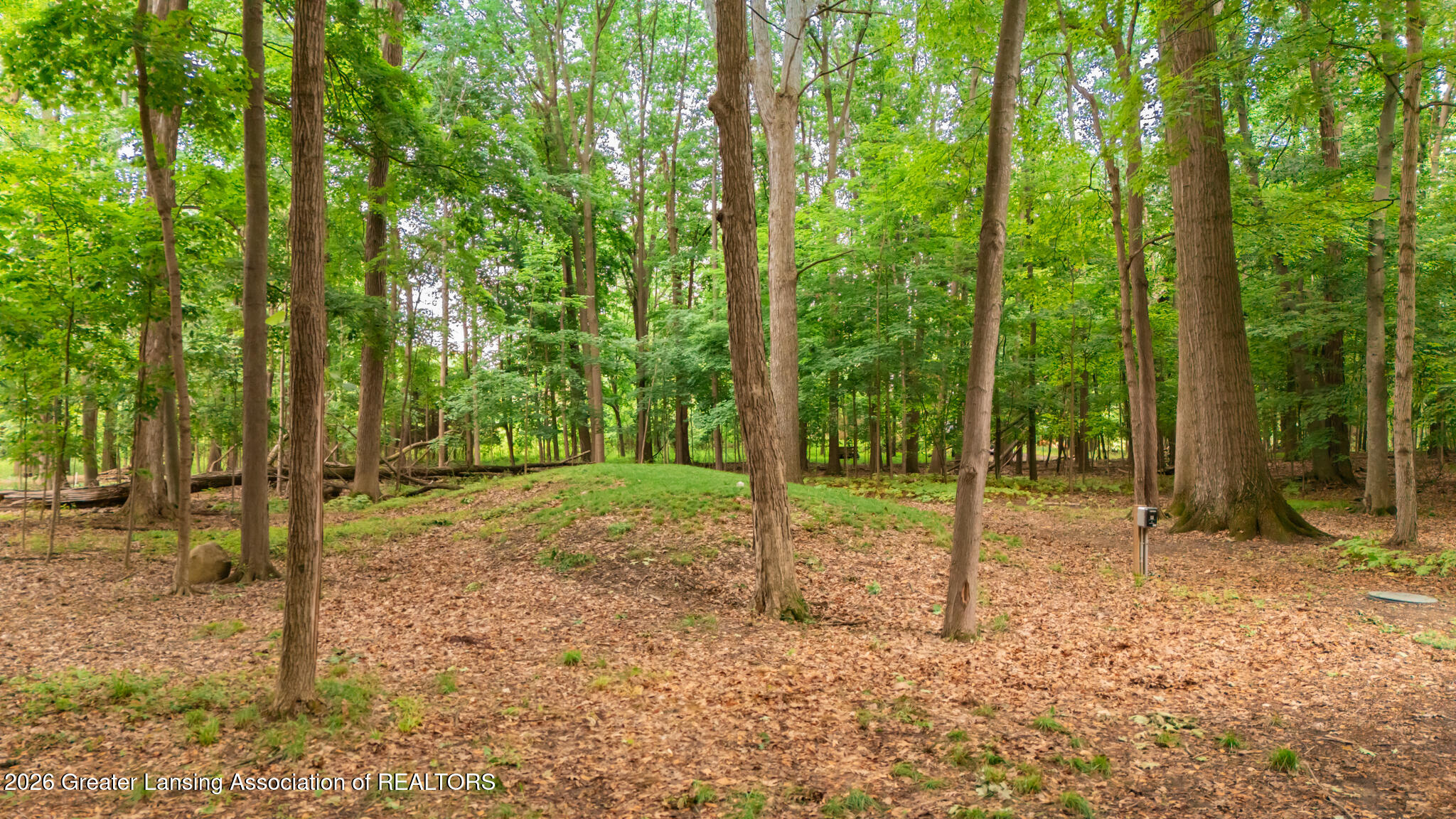 1045 North Eifert Road Holt, MI 48842 - Photo 38 of 43 1045Eifert13