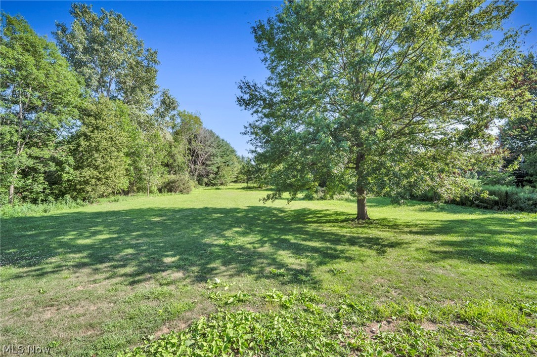 2642 Blake Road Wadsworth, OH 44281 - Photo 48 of 50 Expansive green lawn with mature trees and natural landscaping