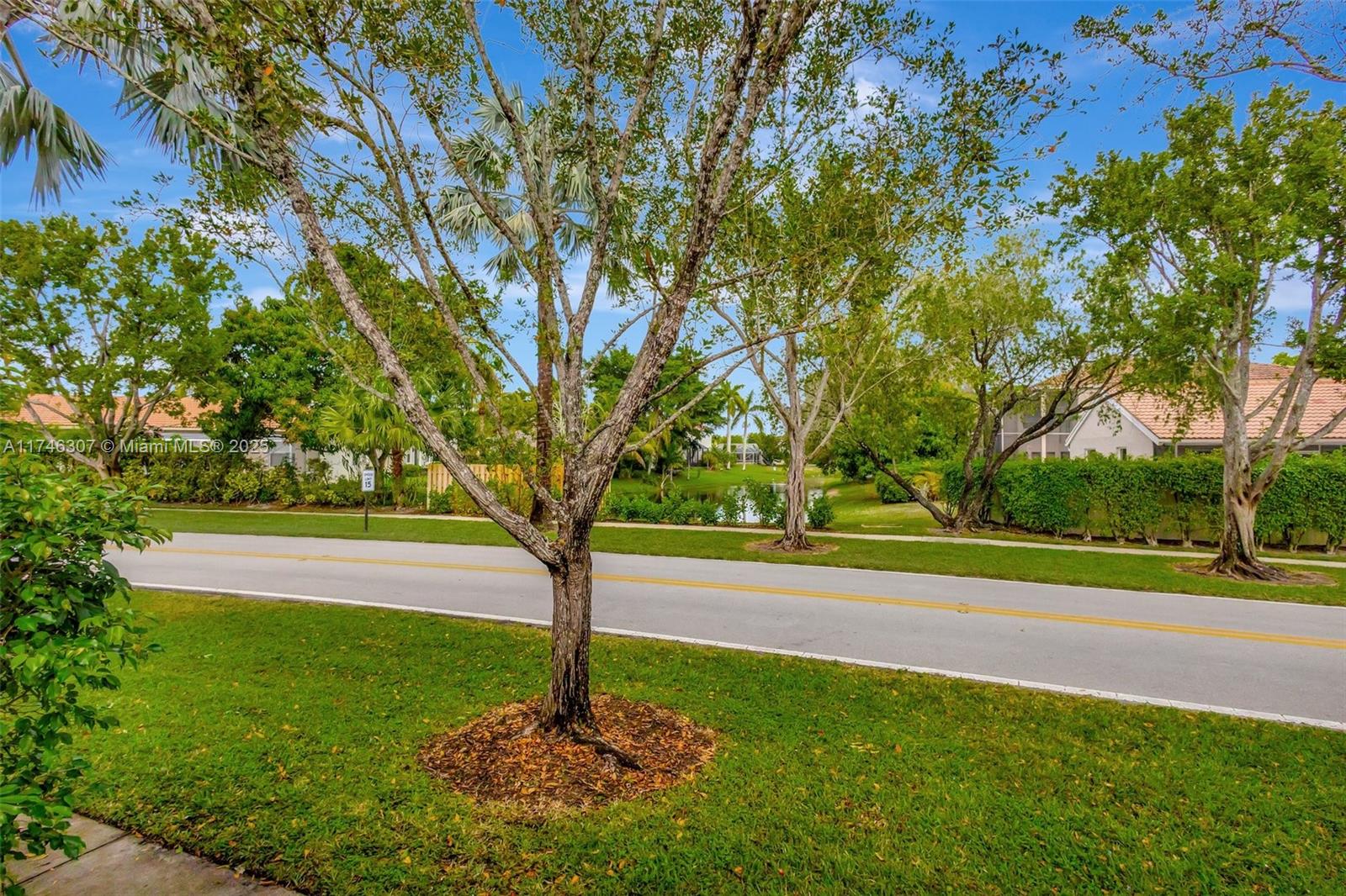 1826 Capeside Circle Wellington, FL 33414 - Photo 63 of 73 a view of a ground with large trees
