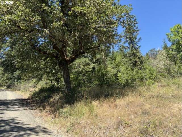 0 Mountain View Road Sutherlin, OR 97479 - Photo 5 of 9