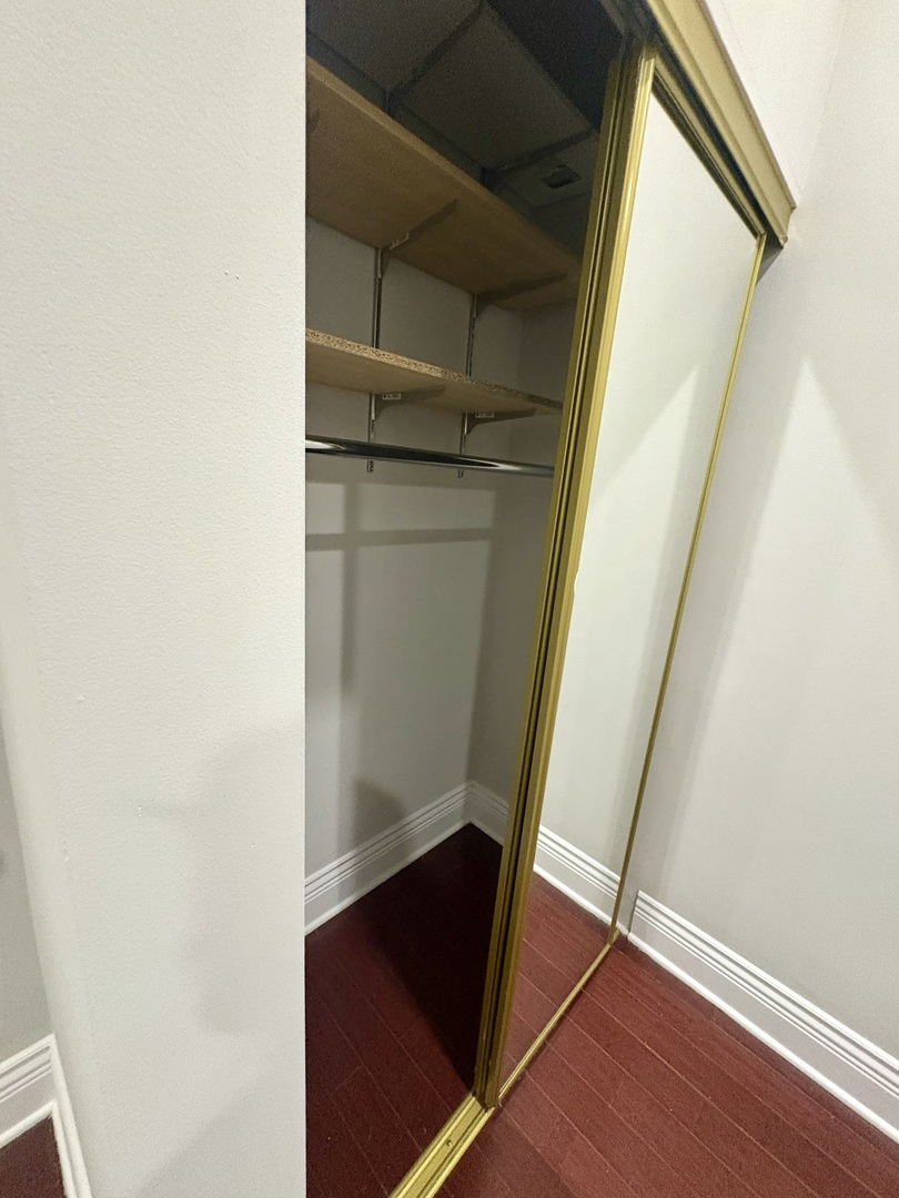 12 West Chestnut Street, Unit 3 Chicago, IL 60610 - Photo 14 of 20 a view of walk in closet with empty racks