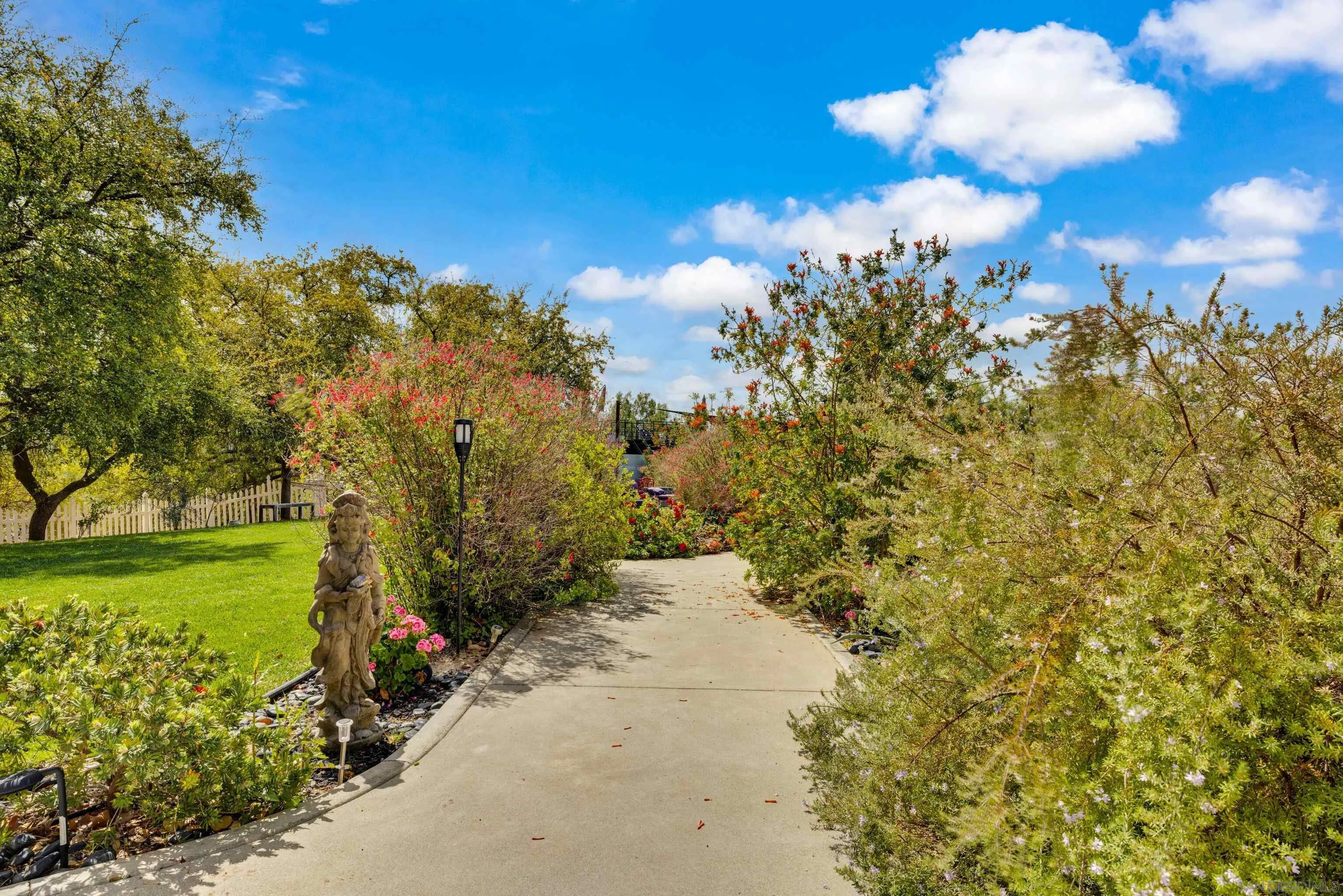 37389 Ave Chapala Temecula, CA 92592 - Photo 39 of 68 a view of a yard with a tree