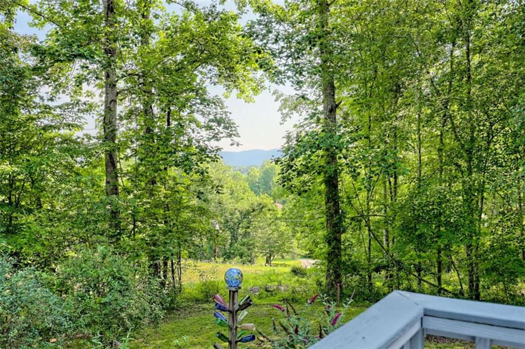 28 Coon Tail Road Blairsville, GA 30512 - Photo 53 of 100 a backyard of a house with lots of green space and a fountain