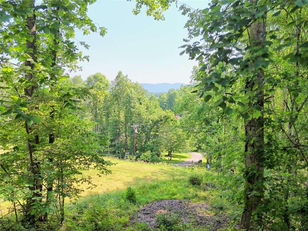 28 Coon Tail Road Blairsville, GA 30512 - Photo 6 of 100