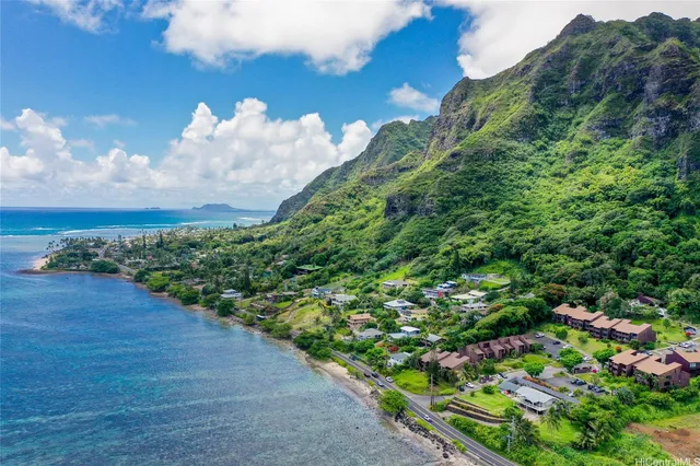 a view of a garden with plants
