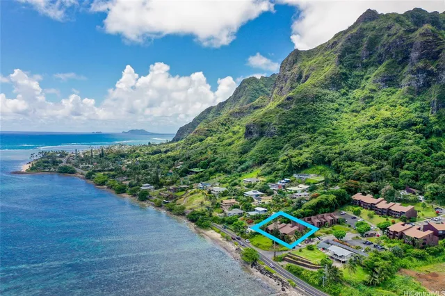 a view of a yard with plants
