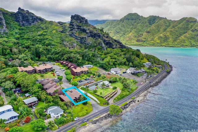 a view of a garden with flowers and flowers