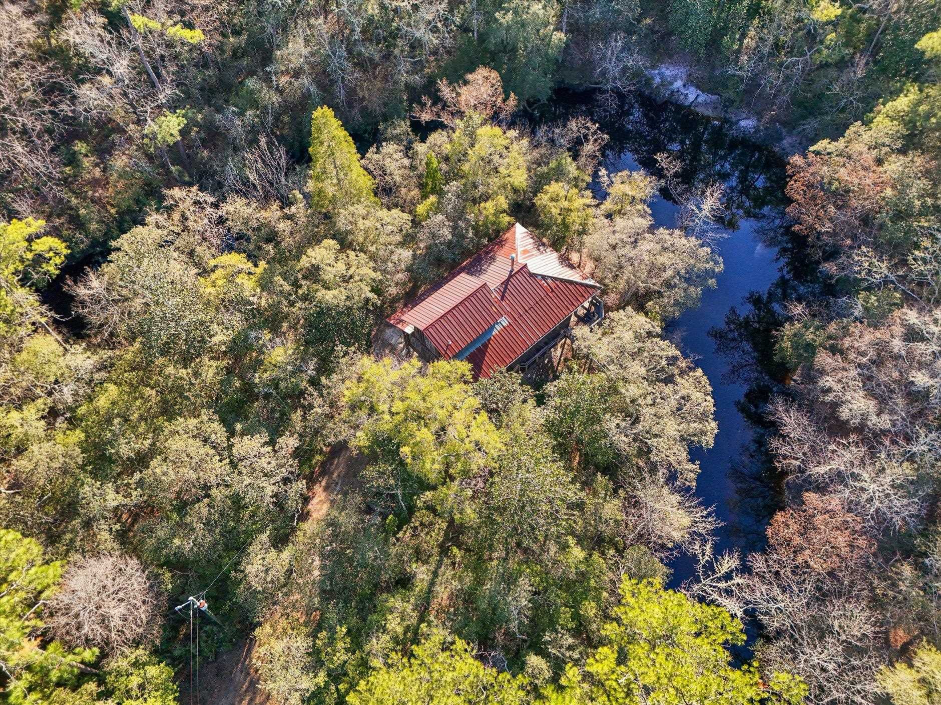 14 Lizard Lane Sopchoppy, FL 32358 - Photo 3 of 36