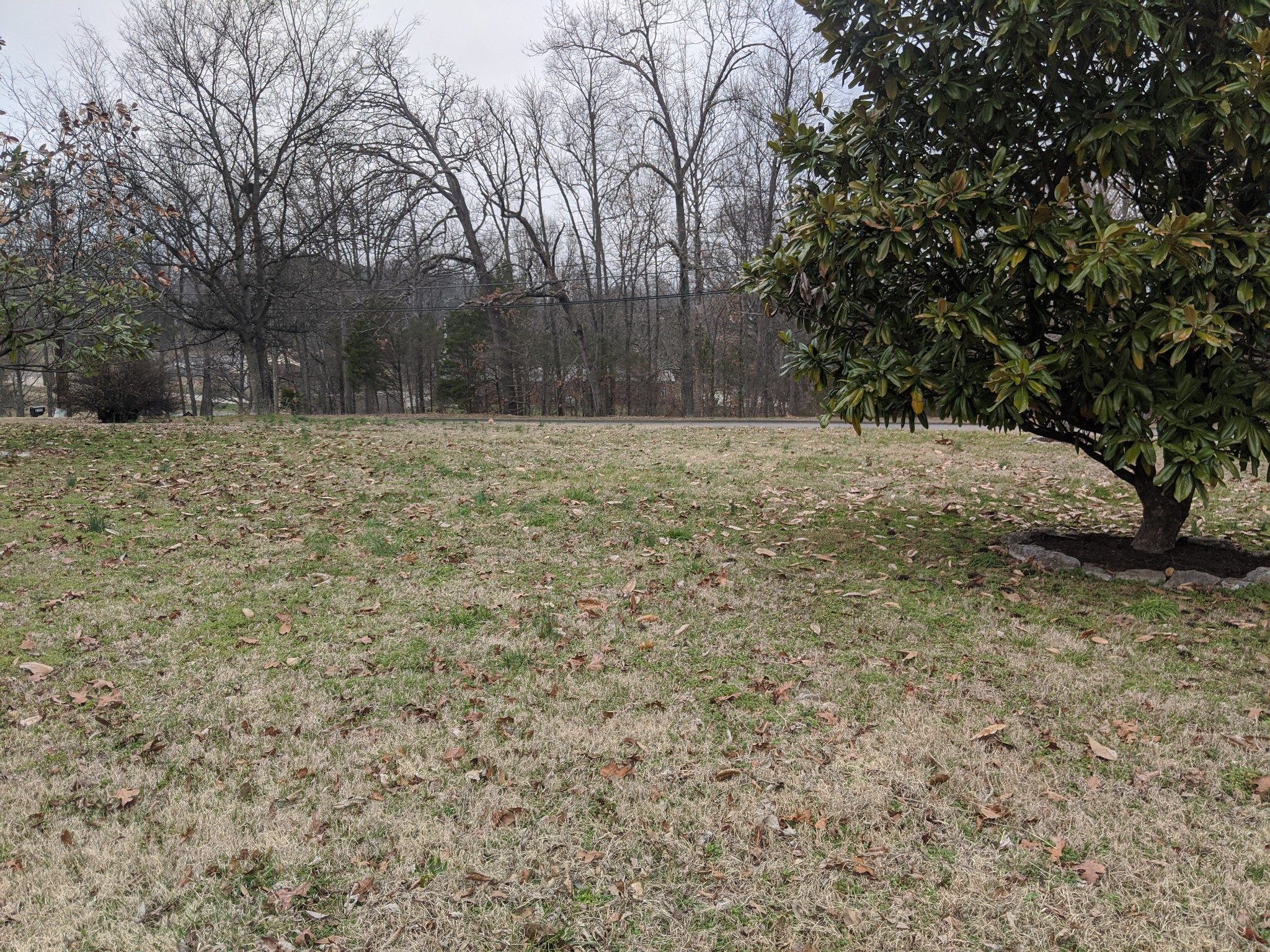 2733 Anderson Road Nashville, TN 37217 - Photo 22 of 24 Gallery Image 22