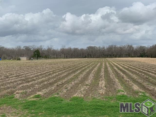 9640 Burnside Road Erwinville, LA 70729 - Photo 1 of 5 Gallery Image 1