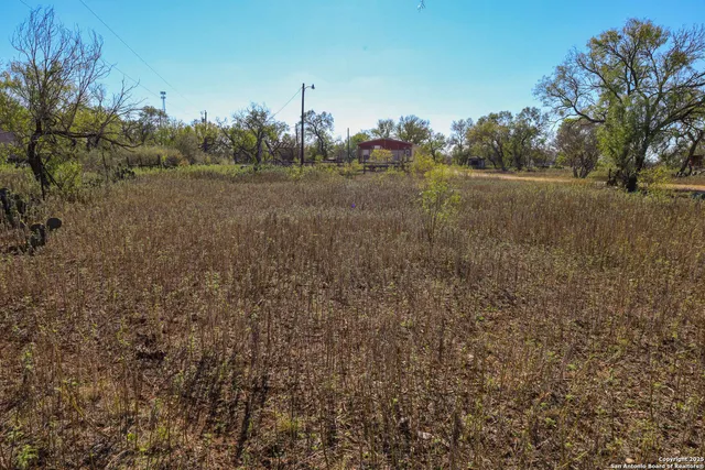 a view of a field with trees in background