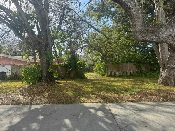 a view of a yard with plants and large trees
