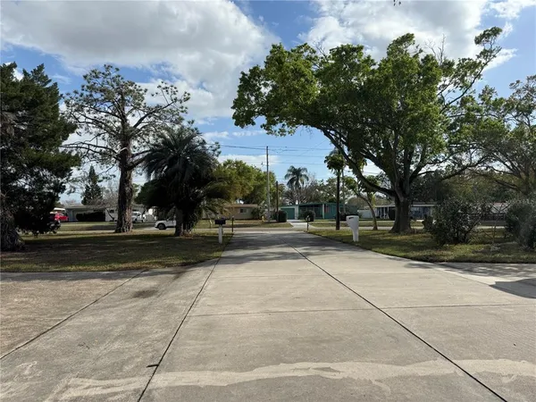 a view of a garden with flowers