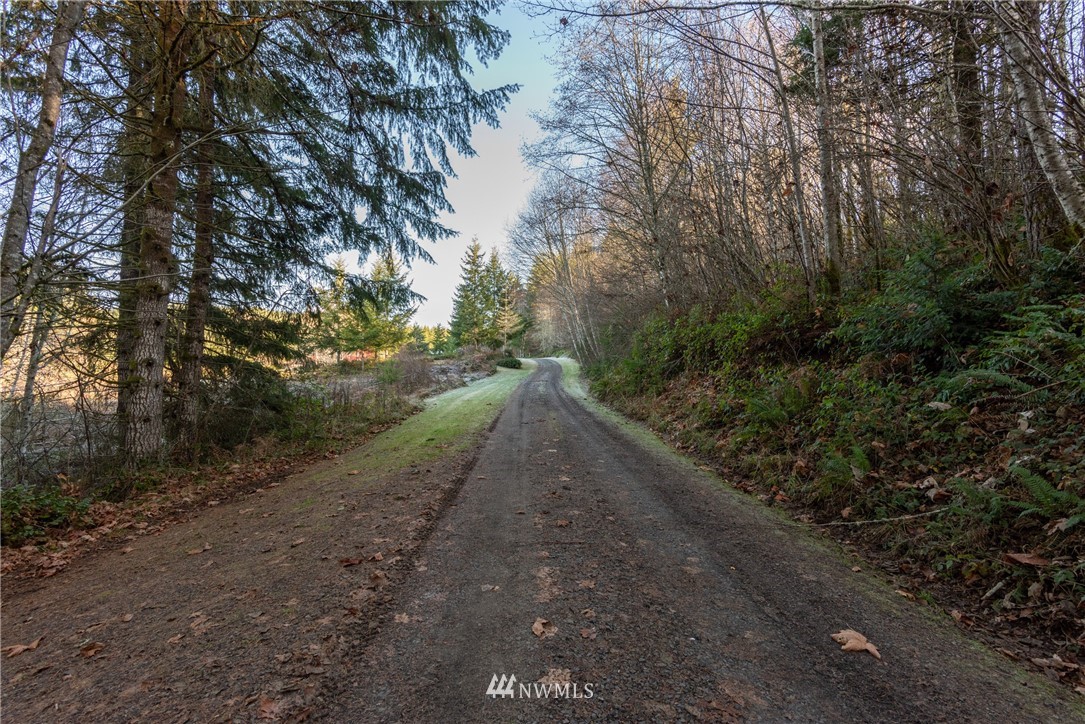171 Smith Road Chehalis, WA 98532 - Photo 3 of 36 a view of a dirt road with trees in the background