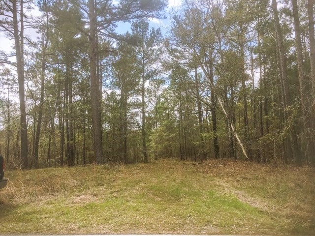 Lot 5 Burtom Road Eatonton, GA 31024 - Photo 15 of 15 Gallery Image 15
