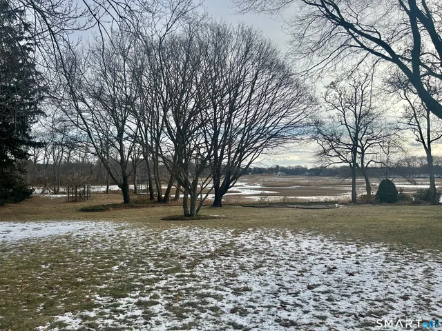 a view of a yard with a trees