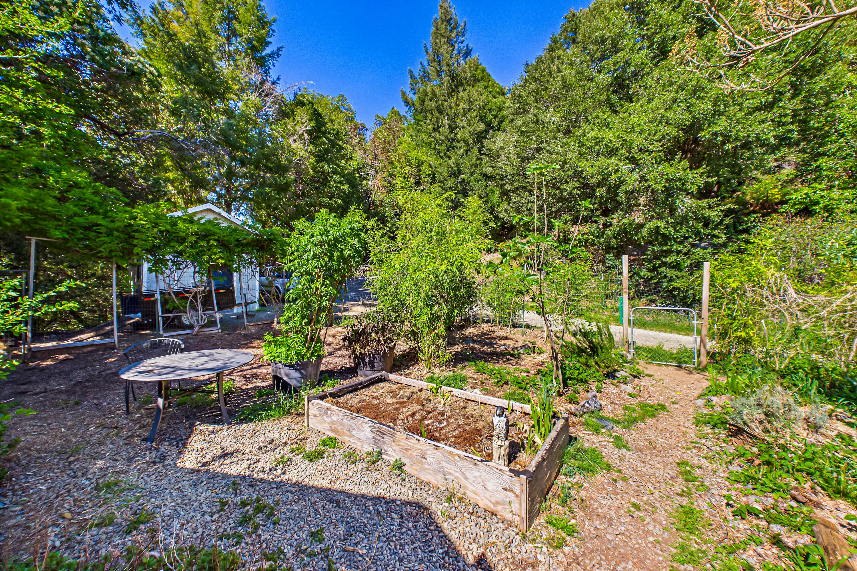 12600 Briceland Road Whitethorn, CA 95589 - Photo 12 of 111