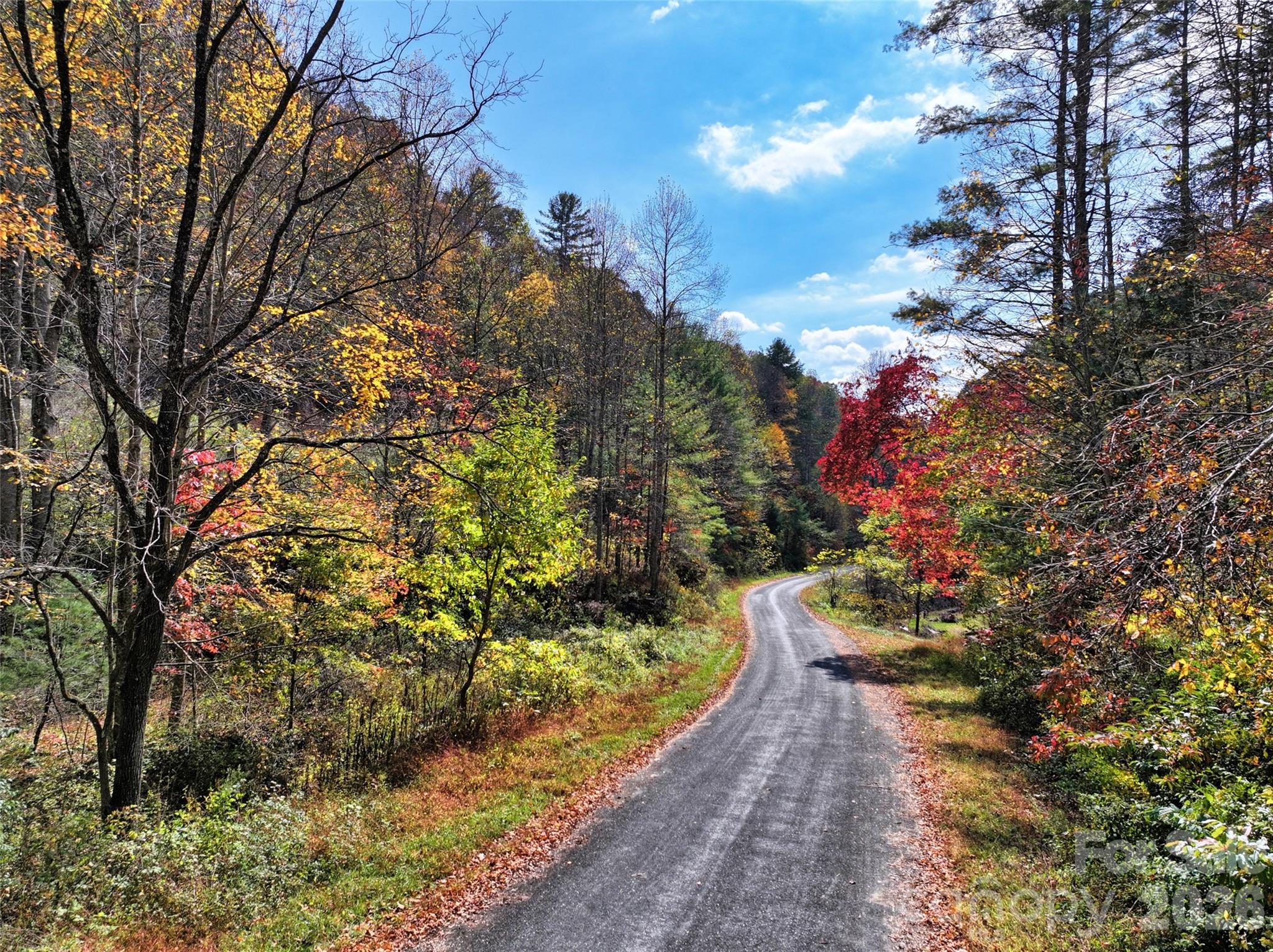 366 Renfro Road Green Mountain, NC 28740 - Photo 1 of 40 Gallery Image 1