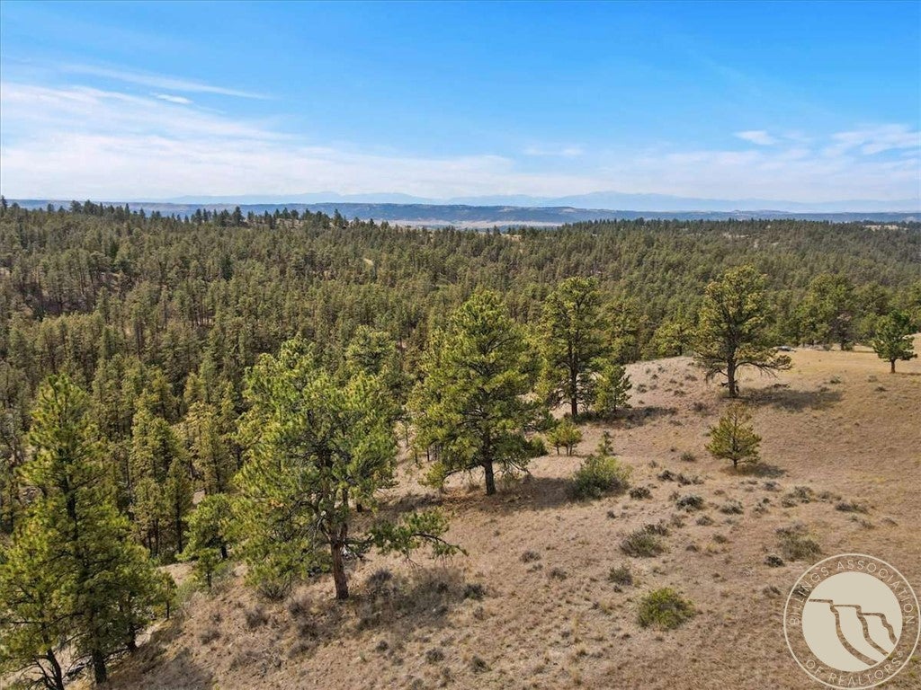 59 October Hill Road Columbus, MT 59019 - Photo 27 of 36 Gallery Image 27